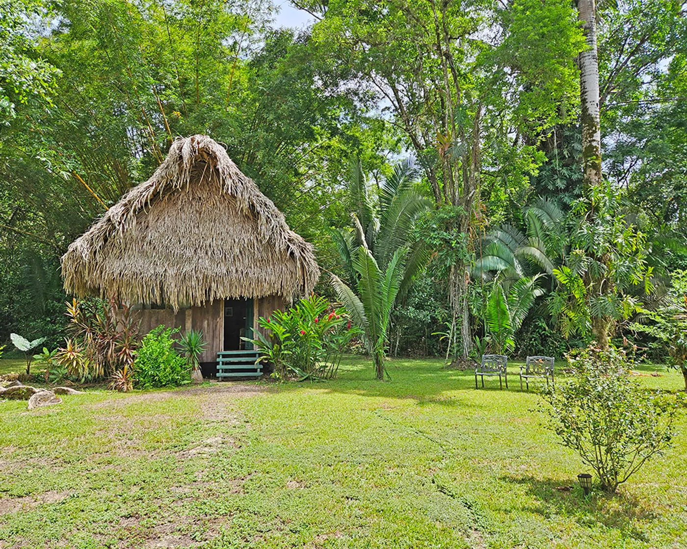 A thatched casita among a lush garden.